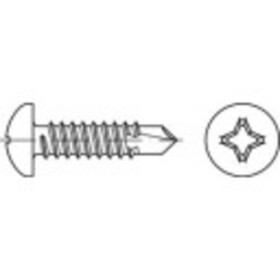 TOOLCRAFT TO-5441520 závrtná skrutka 4.8 mm 100 mm krížová dražka Philips ocel glavanizované zinkom 250 ks; TO-5441520