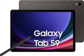 Samsung Galaxy Tab S9 (SM-X710NZAAEUE)