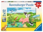 Ravensburger Mláďatá na farme