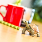 Safari Ltd. Safari Ltd. Figúrka - Korytnačka obrovská