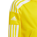 Squadra 21 Hoody Youth Jr GP6431 Adidas