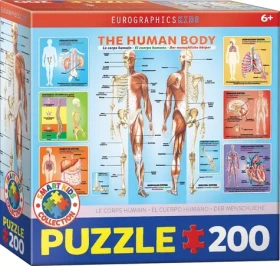 EUROGRAPHICS Puzzle Ľudské telo