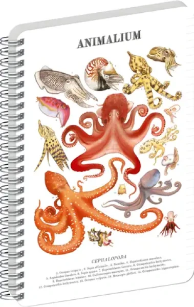 NOTIQUE Animalium - Hlavonožce / Špirálový blok / linajkový / A5