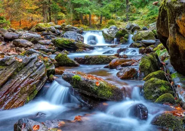 ENJOY Puzzle Lesná riečka na jeseň