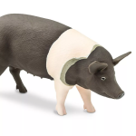 Safari Ltd. Safari Ltd. Prasa Hampshire