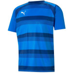 Pánske tréningové tričko teamVision Jersey 704921 02 Puma