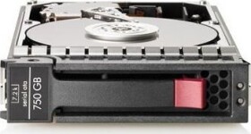 HP 750GB 3.5'' SATA II (3 Gb/s) (458930-B21)