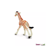 Safari Ltd. Safari Ltd. Mláďa žirafy sieťovanej