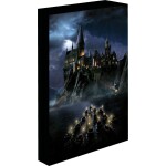 Epee Merch Obraz LED svietiaci Harry Potter Rokfort