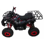 Mamido Detská benzínová štvorkolka RamiGO WILDPEAK 110CC čierno-červená
