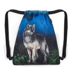 Malý školský set Bagmaster LUMI 24 F Set S Wolf