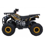 Mamido Detská benzínová štvorkolka RamiGO DISCOVERER 125CC čierno-oranžová