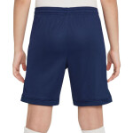 Šortky Nike Dri Fit Academy 25 Jr FZ9784 410 M