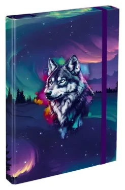 BAAGL Dosky na školské zošity A4 Aurora / 23x32x3 cm