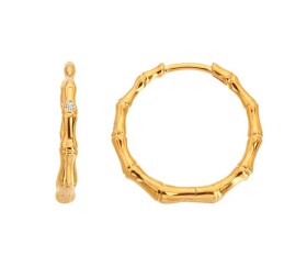 Hot Diamonds Pozlátené kruhové náušnice s diamantom Golden Edit Hope DE842