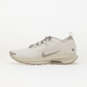 Tenisky Nike Pegasus Trail 5 Gore-Tex Summit White/ College Grey-Light Bone EUR 42