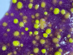 Mamido Tuban kreatívna sada Slime Alien XL kúzelný sliz meniaci farbu