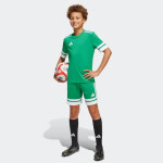 Šortky adidas Squadra 25 Jr JN7484 164 cm