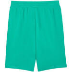 Pánske šortky Puma ESS No.1 Logo 10" (s) zelené 682595 40 S