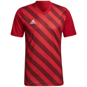 Pánsky dres Entrada 22 Graphic Jersey Adidas