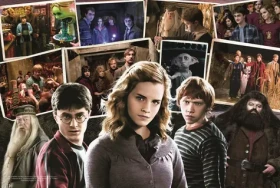 Trefl - Puzzle - Harry potter s priateľmi