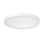 RIDI 332095 332095 LED stropné svietidlo LED biela; 332095