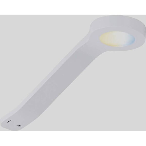 Paulmann CC Mike osvetlenie na stenu / strop 2 W teplá biela biela; 99949