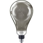 Philips Lighting 871951431537200 LED E27 klasická žiarovka 6.5 W = 25 W teplá biela (Ø x d) 162 mm x 293 mm 1 ks; 871951431537200