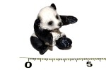 A - Figúrka Panda mláďa 4,5 cm, Atlas, W101885