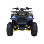 Mamido Detská benzínová štvorkolka RamiGO DISCOVERER 125CC čierno-žltá