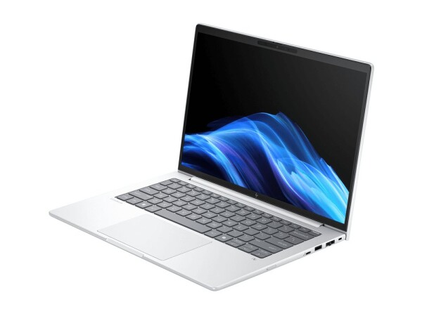 HP HP EliteBook 8 G1i Intel Core Ultra 5 225U 33,7cm 13,3Zoll WUXGA 16GB 512GB/SSD W11P SmartBuy 3J Gar (DE)