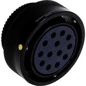TE Connectivity TE DE Signal Standard CIRHSE06T32A13SCNF80M32V0 1 ks; CIRHSE06T32A13SCNF80M32V0
