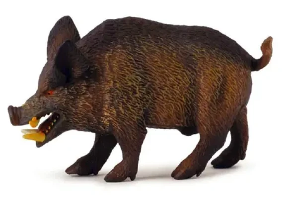 Collecta Prasa divoké kanec