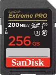 SanDisk SDXC SDSDXXD-256G-GN4IN