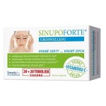 SINUPO FORTE boswélliou