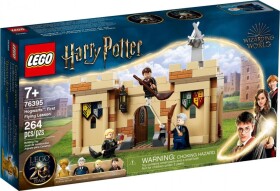 LEGO® Harry Potter™ 76395 Prvá hodina lietania