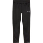 Puma Team Goal tréningové nohavice M 658639 03 XL