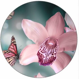 Jedlý papier orchidea a motýľ 19,5 cm - Pictu Hap - Pictu Hap