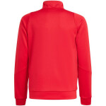 Mikina adidas Tiro 24 Training Jr IR7502 116CM