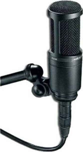 Audio-Technica AT2020
