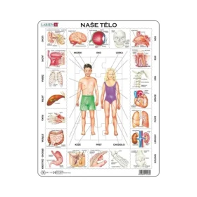 Dino Puzzle naše telo