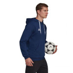 Pánska mikina Entrada 22 Hoody Adidas