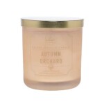 Dw HOME Vonná sviečka Autumn Orchard Mini 111 g