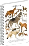 NOTIQUE Animalium Psovité šelmy / Špirálový blok / A5 / linajkový
