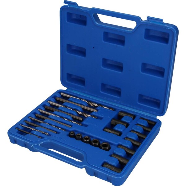 Brilliant Tools BT541900 Sada vyťahovačov skrutiek HSS, 25 ks; BT541900