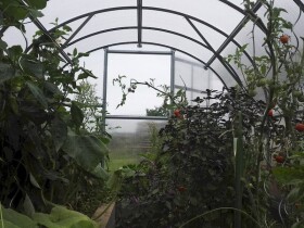 Oblúkový polykarbonátový skleník Gardentec Classic (4 × 3 m)