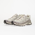 Tenisky Salomon XT-6 Vanilla Ice/ Ftw Silver/ Lilaca EUR 39 1/3