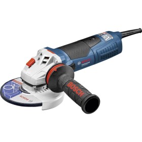 Bosch GWS 19-150 CI Professional 0.601.79R.002