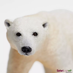 Safari Ltd. Safari Ltd. Ľadový medveď