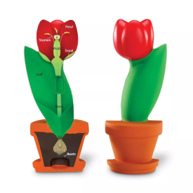 Learning Resources Learning Resources Rez kvetom